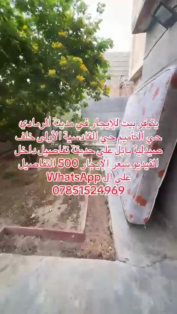 حي التأميم • القادسية الأولى • خلف صيدلية بابل