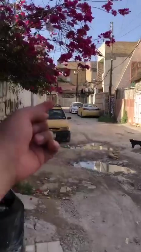 🏠 سلام عليكم عرض جديد في منطقه الطي قطعة ارض للبيع فرع اسواق الامير بداية منطقه الطي 

📍خامس فرع موقع ممتاز جدآ

📍 الكاظمية الثانية الطي 

🚧المساحه الكليه (136)الواجهه (8) ً

✍️يتوفر قرار محكمه مع سند مع خريطة للملك (اصوليه )
 

🏠رجآ السعر مميز جدا خاص ولي مو شراي ليتصل رجآ 

😎 نحنو نعمل بي مصداقيه 

📐 عن فرص 🏠 بيت لاحلام في منطقه الطي 
📐 واسعار مختلفةً 

💧خدمات و بيوت حديث
 
🚧والمساحة مختلفه 

ملاحظة  🤌إي شخص يحب يعرض دار او قطع اراضي للبيع او يجار او ترميم دور سكنيه او بناء 🚧 يتصل 📞على الارقام بل اسفل المنشور 👇

🚧🦺☎️ فقط ‭***********‬

✨موقع ممتاز 👌 جدآ ونزال حلوه 

رجآ وتساب موجود وسعر خاص 

وملاحظة 🤌إي شخص يحب يعرض دار او قطع اراضي للبيع او يجار او ترميم دور سكنيه او بناء 🚧 يتصل 📞على الارقام بل اسفل المنشور 👇

🚧🦺للبيع فقط 

ماعليك فقط لاتصال على رقم وتساب موجود ☎️

هدفنا نوفرلك العقارالمناسب بأ اسرع وقت وبمصداقيةعاليه🤝

لاستفسار الاتصال على رقم وتساب موجود ‭***********

عقارات الكاظمية والطي 

نوفرلكم:
🏠 بيوت للبيع
🏘️ بيوت للإيجار
📍 قطع أراضي
🏢 محلات وشقق
💰 أسعار مناسبة ومواقع ممتازة

هدفنا نوفرلك العقار المناسب بأسرع وقت وبمصداقية عالية 🤝

📌 نخدم مناطق:
الكاظمية • الطي • بغداد والمناطق القريبة

📞 للاستفسار والمراسلة ‭***********‬

تابعوا الصفحة يومياً حتى توصلكم أحدث العروض والأسعار 🔔
وأي شخص عنده دار أو أرض يريد يبيع أو يأجر يراسلنا خاص.
