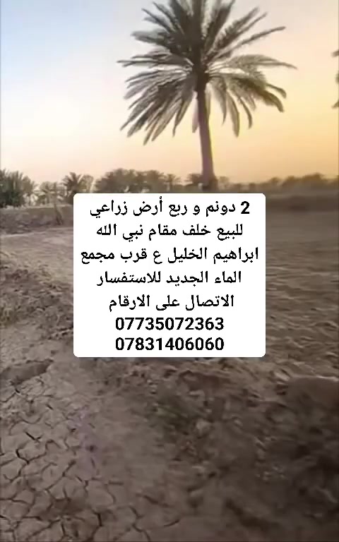 بسم الله الرحمن الرحيم 
قطعه ارض للبيع زراعي سند 25
المساحه 2 دونم و ربع قرب المجمع  الجديد
بابل قرب مقام نبي الله ابراهيم الخليل ع 
خدمات ماء كهرباء شارع تبليط 
للاستفسار الاتصال على صاحب الارض 
***********
***********
