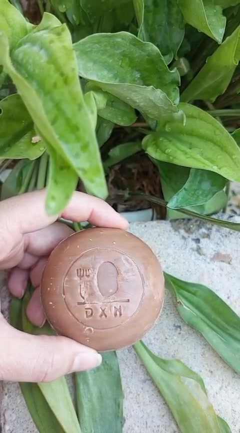 ✨ السر لبشرة صحية ونقية بين يديكِ! ✨
​جددي نضارة بشرتكِ يومياً مع صابونة جانوزي من DXN (الحجم الصغير) 🌿
تركيبة طبيعية ساحرة تجمع بين فوائد فطر الجانوديرما (الريشي) وزيت النخيل النقي لتمنحكِ عناية فائقة وتنظيفاً عميقاً دون أن تسبب أي جفاف.
​لماذا ستعشقين صابونة جانوزي؟
​💧 ترطيب ونعومة: تحافظ على توازن بشرتكِ وتتركها بملمس حريري.
​✨ إشراقة طبيعية: تحارب علامات الإجهاد وتجدد خلايا البشرة بفضل مضادات الأكسدة.
​🌿 طبيعية وآمنة: خالية من المواد الكيميائية الضارة ومناسبة لجميع أنواع البشرة.
​👜 حجم عملي ومثالي
​🛍️ للطلب والاستفسار:
تواصلوا معنا عبر الخاص (أو اضغط على رابط الواتساب) ?***********?
الكمية محدودة – سارعي بالحصول على مجموعتكِ الآن!