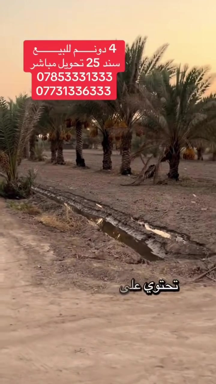 4 دونم للبيع طابو زراعي سند 25 تحويل مباشر 
*********** 
***********
