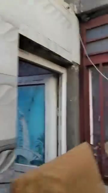 الصخين
بين لحولي ولمدرسه قرب جسر الحولي وبي وصل تطويب مكانه كلش جيد السعر  28 
***********

