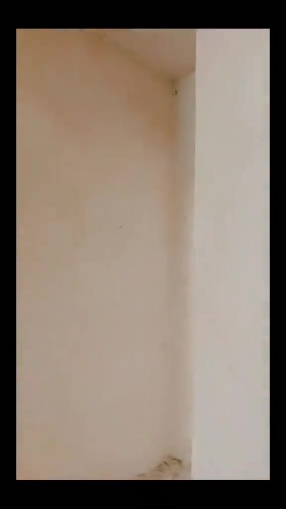 كربلاء • جص • واجهات أسمنت