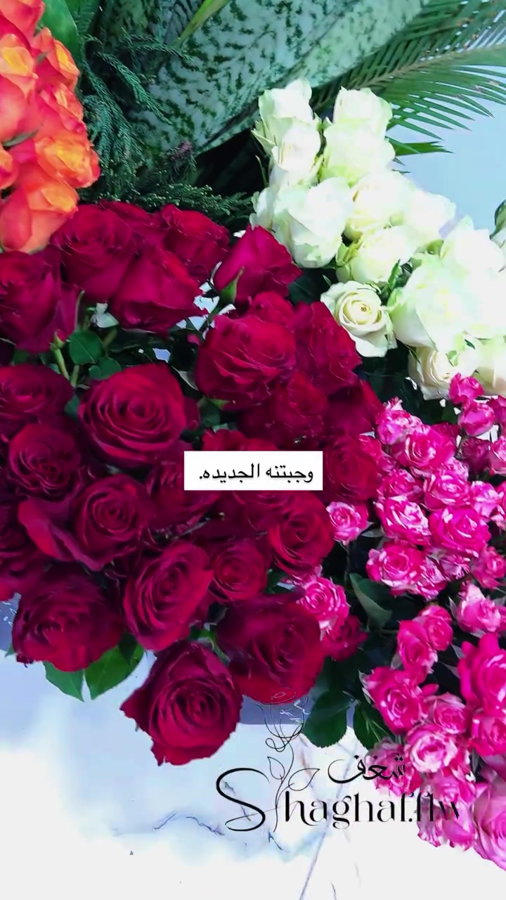 شغف فلور  
العنوان. 
بغداد /المدائن/شارع المستشفى/بقرب من جم 66
للتواصل واتس *********** 
 #ورود#ورد طبيعي
