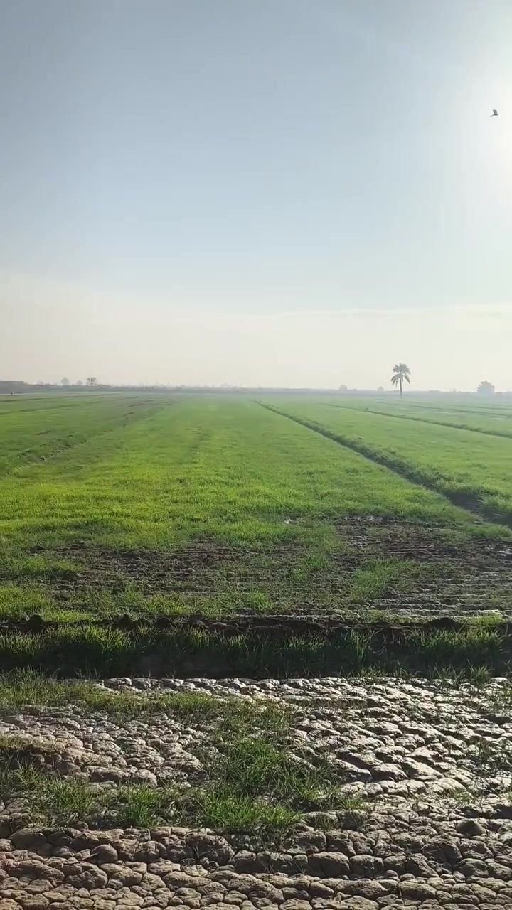 ارض زراعيه للايجار30دونم
مضروبه ليزر
وياها ماطور كاز جديد
واسط الصويره قرب برينج
للاستفسار ***********
