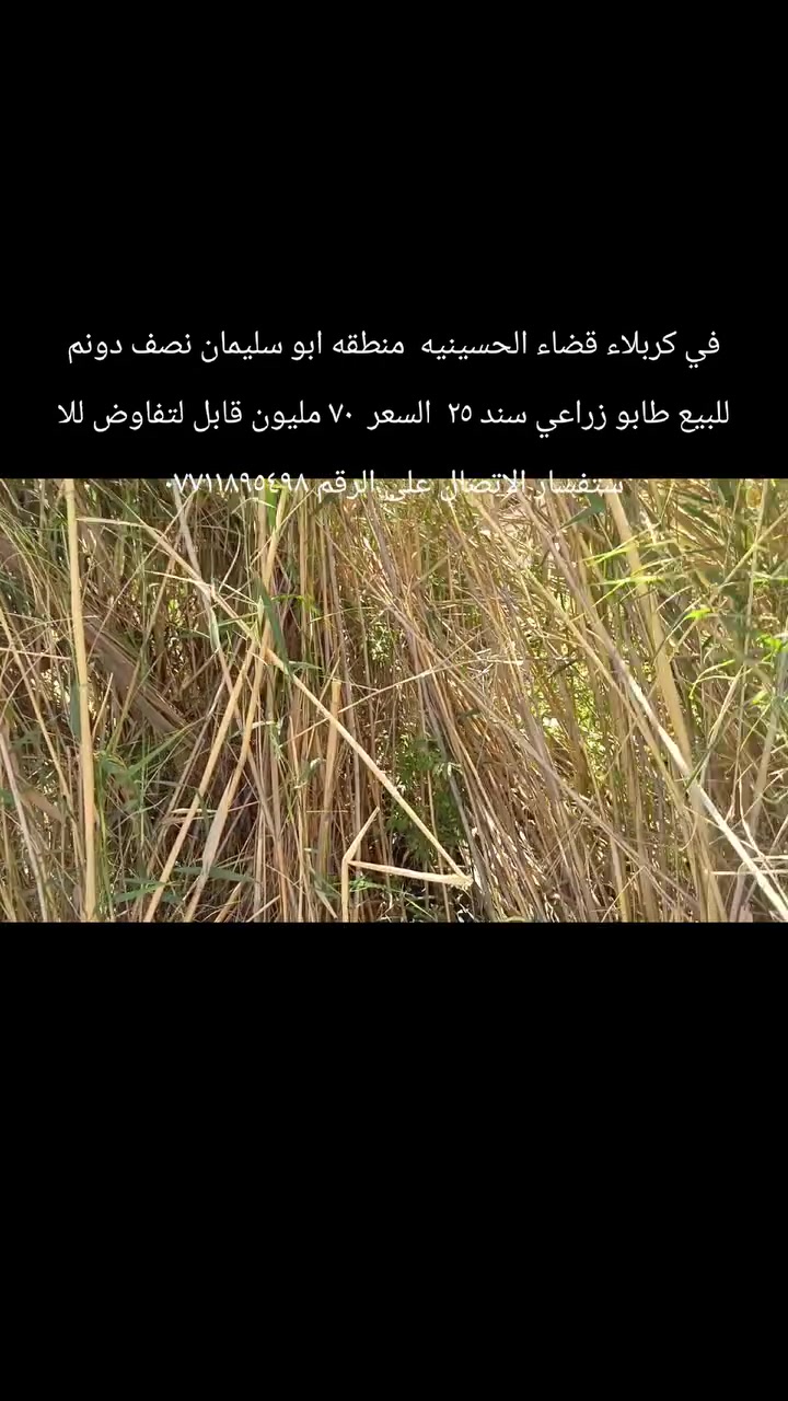 لا توجد تفاصيل
