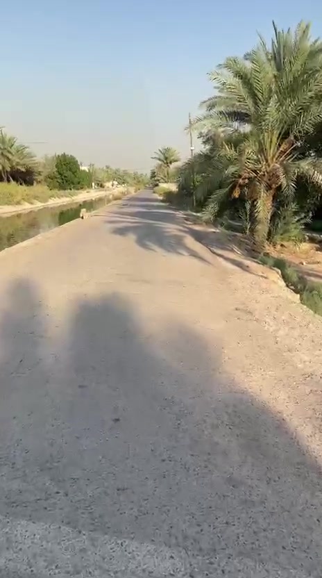 للبيع 1700متر مع بيت بناء حديث طابقين 4غرف نوم وكامل التفاصيل
واجهة الارض 36 بل نزال  للاستفسار الاتصال على الرقم واتس اب ورصيد

***********

