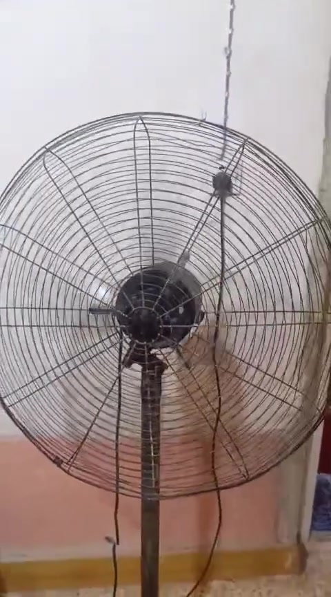 مروحة • سوق الشيوخ • CAMON 20 Pro