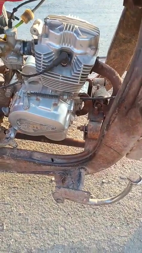 ***********. ***********.  السلام عليكم ستوته للبيع وهذا رقم راعيها اللي يريد يتصل عليه ميسان
