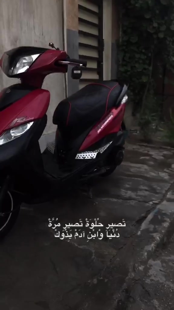 ثعلب • كفاله • دبل خلفي