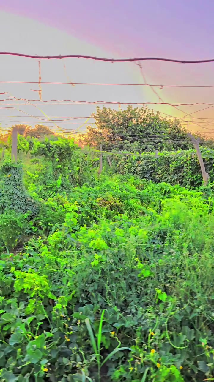 🌳 إعلان بستان للبيع 🌳
فرصة مميزة لامتلاك بستان متكامل في قضاء بلد – حي الفارس.
✅ المساحة: 517 م²
✅ مزروع بأشجار العنب والتفاح.
✅ يحتوي على تشكيلة من الخضروات الموسمية.
✅ يتوفر فيه بئر ماء مع ماطور.
✅ البستان مسيّج وجاهز للاستثمار أو الاستخدام الشخصي.
📍 العنوان: صلاح الدين – قضاء بلد – حي الفارس، قرب بيت حسن ميرة، مقابل البزل.
📞 للاستفسار والمزيد من المعلومات:
***********
فرصة مناسبة للراغبين بالاستثمار الزراعي أو امتلاك بستان داخل المدينة. 🌿

