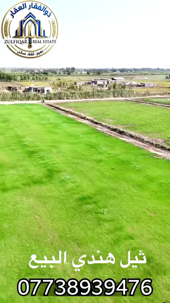 ثيل هندي • توصيل • جميع المحافظات