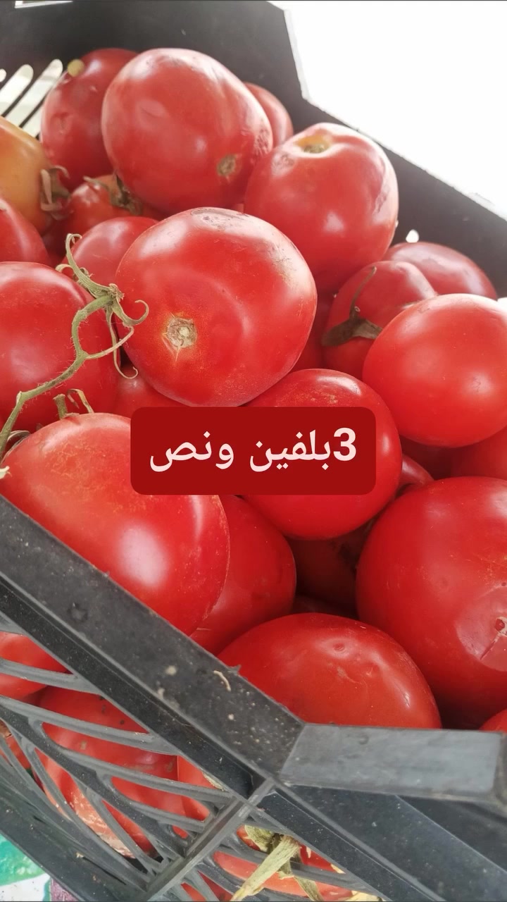 بقالية • أبي غرق • توصيل