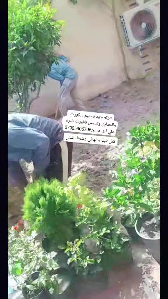 من فضل ربي من اعمالنا  اليوم كملت الحديقه 
نلتزم الحدائيق ادمه الشهريه وال متابعه عل مرور شهر والقص وتنظيف كافه وتسيس نافورات نوزل وال بخاخ دفن جوا تربه وتغطير باداره علي ابو حسين بانسب الاسعار 
تواصل معنا ***********
