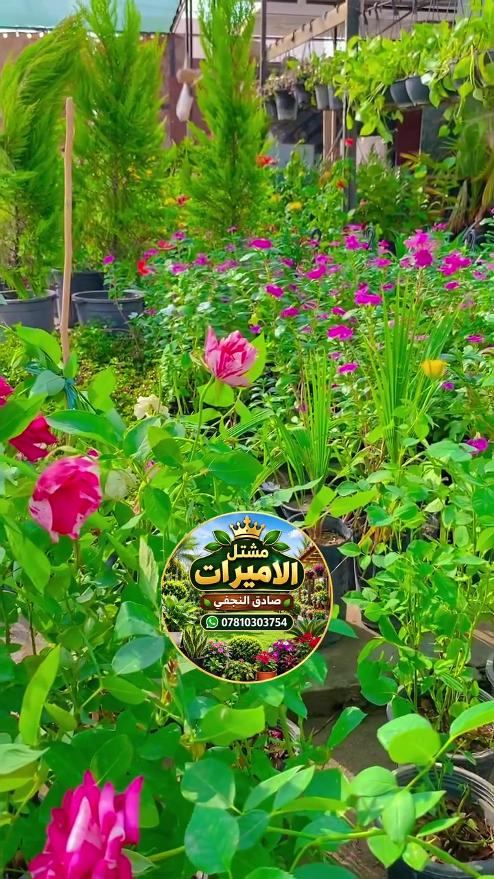 مشتل الأميرات • نباتات داخلية • نباتات خارجية