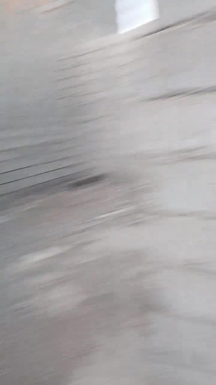 سلام عليكم هيكل البيع في مطقت الزنابره عل شاعره العام لبكان تجاري ***********
