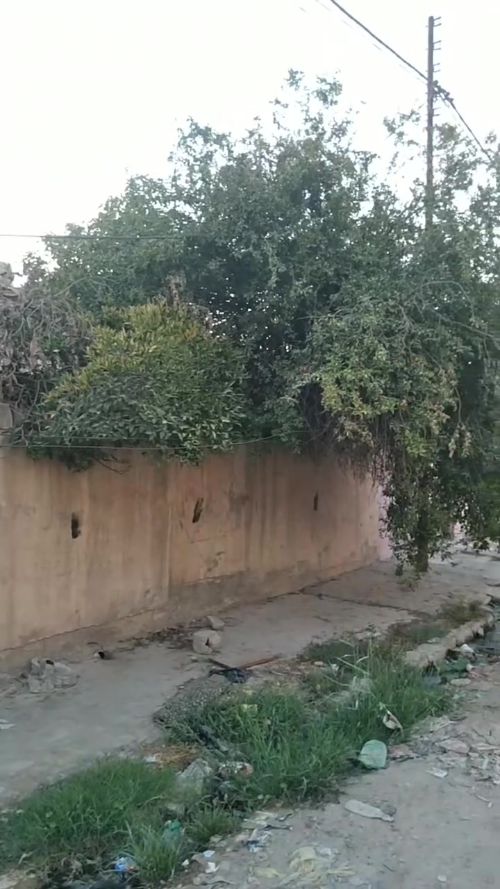 دار للبيع مساحه ٢٢٠متر موصل حي الانتصار شارع ٦٠ طابقين الطابق الاول غرفتين نوم وهول واستقبال ومطبخ وصحيات الطابق الثاني غرفتين نوم وهول وصحيات سند طابو الزهور شرط التحويل السعر ٩٠ وبي مجال للاستفسار على الرقم *********** / *********** مكتب الفيحاء للعقار
