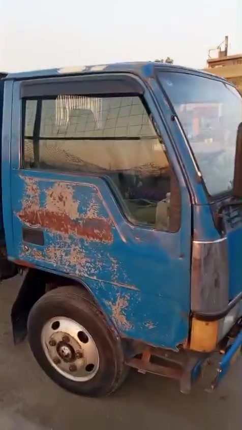 كنتر • فحل • للبيع