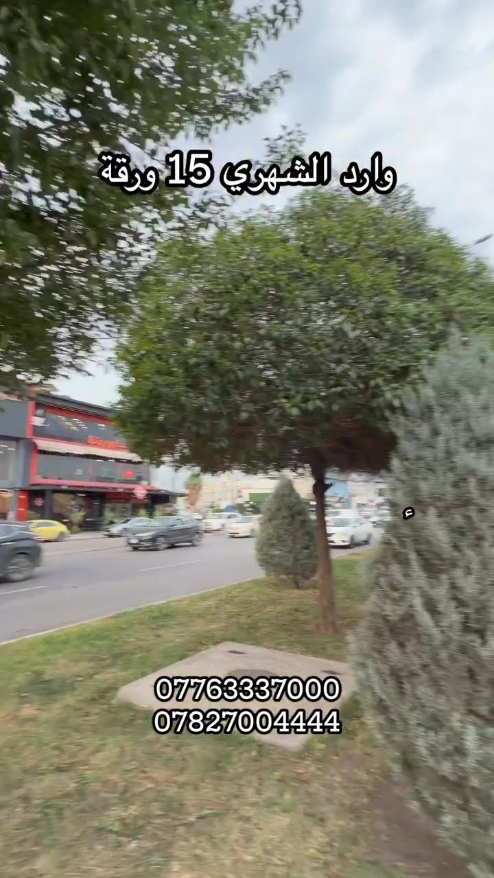 اربيل • ١٢٤م • للبيع