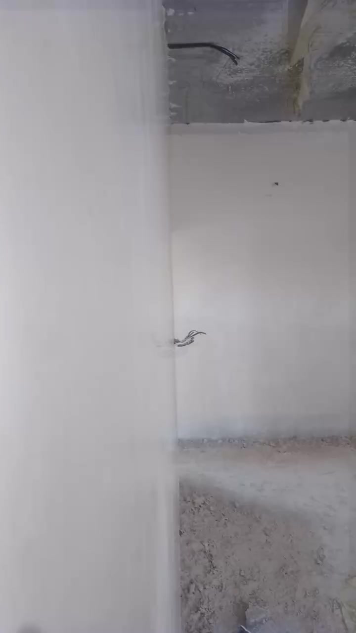 السلام عليكم ورحمة الله وبركاته يوجد كادر لبخ جص وسمنت من الموصل شغل راقي جداً اكثر شغلنا بالعلم والمناطق المجاورة الي يحتاج يتصل *********** ابو بهاء
