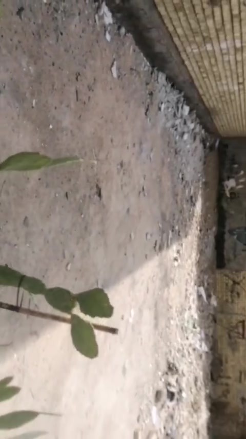 قطعه ارض للبيع المساحه 100متر واجه 6.35 نزال 15 ونص شارع 60 ابو طياره خدمات كامله سند 25 ماء مجاري مقرنص للاتصال ع رقم ***********
