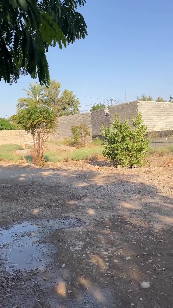 السلام عليكم ٠٠ يوجد قطعه ارض للبيع مساحه ٢٠٠
في منطقه شفته خلف قاعه بيانو مدخل من اسماك زوزه  

زراعي سند ٢٥ تحويل للاستفسار الاتصال *********** متواجد واتساب
