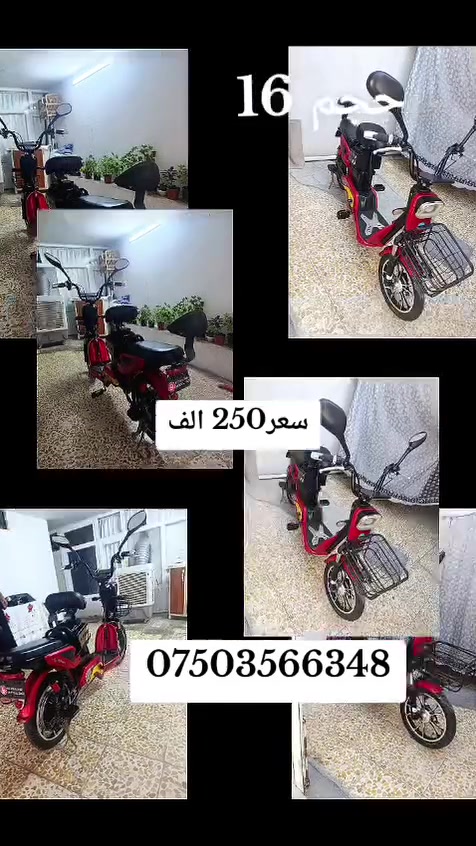 لا توجد تفاصيل
