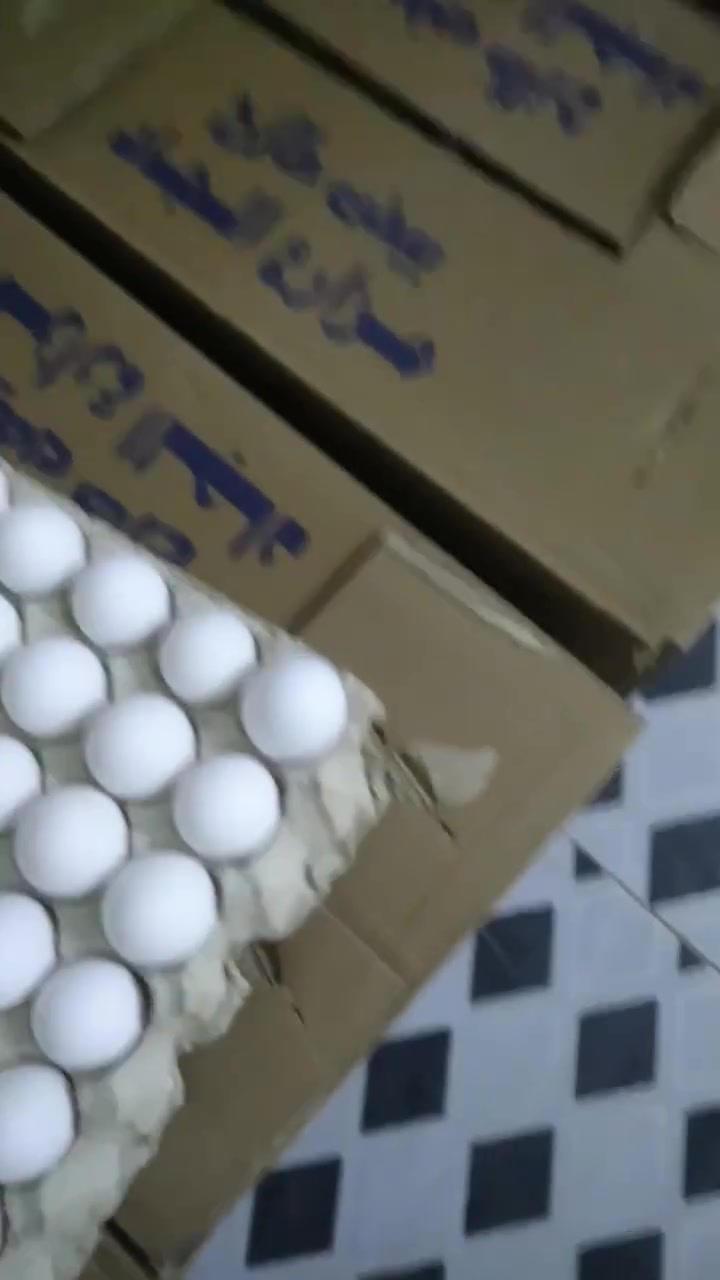 بيض خشن • كمية مفتوحة • توصيل