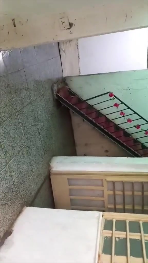 السلام عليكم عندي بيت للبيع ٣٥ وبي مجال وكل تفاصيله بالفيديو وشراي يتصل ع رقم ***********
