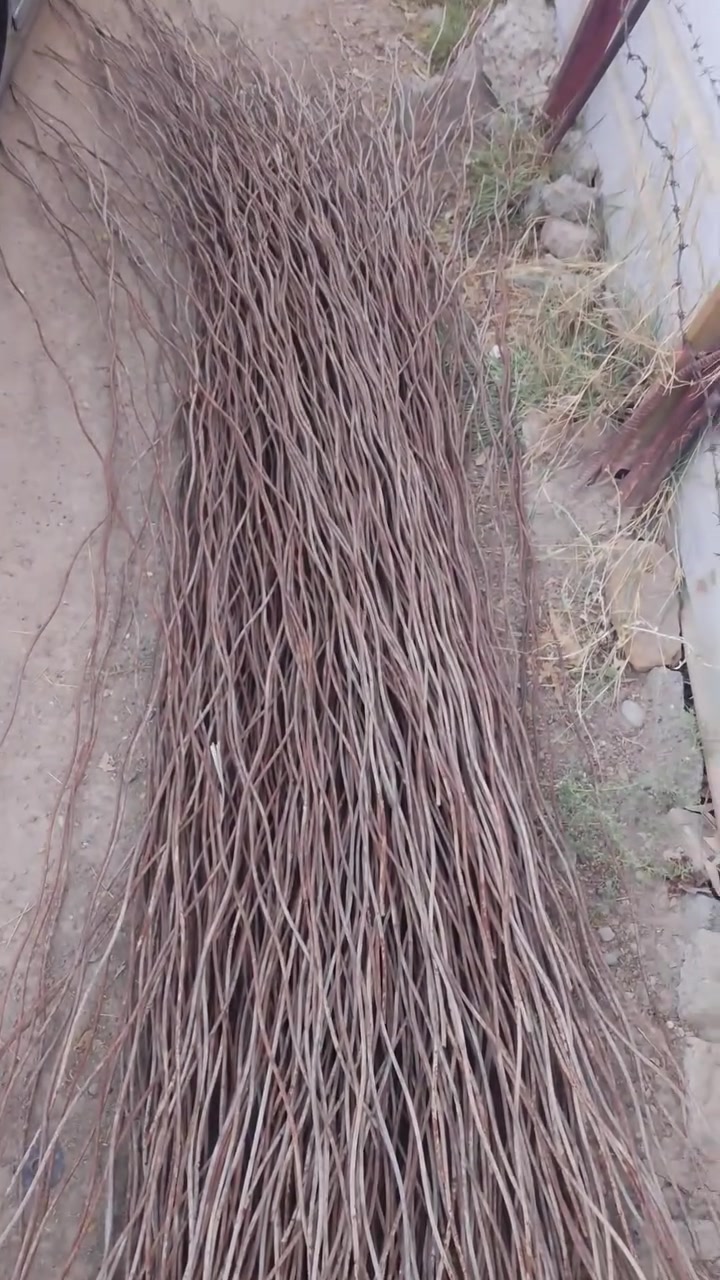 السلام عليكم يوجد نايلون وشيش مال زراعة مستعمل للبيع الاتصال *********** و***********
