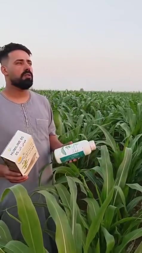 ما شاء الله نتائج ممتازه 
جدا جدا
للطلب او الاستفسار
هـ***********
مكتب العالمية الزراعي
