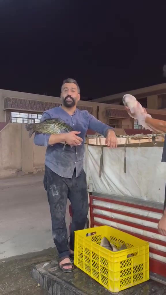 سمك مشوي • دجاج عالفحم • الفلوجة