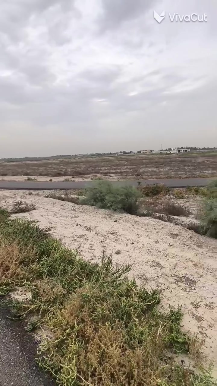 ٨ دونم • طريق حلة بغداد • طابو زراعي