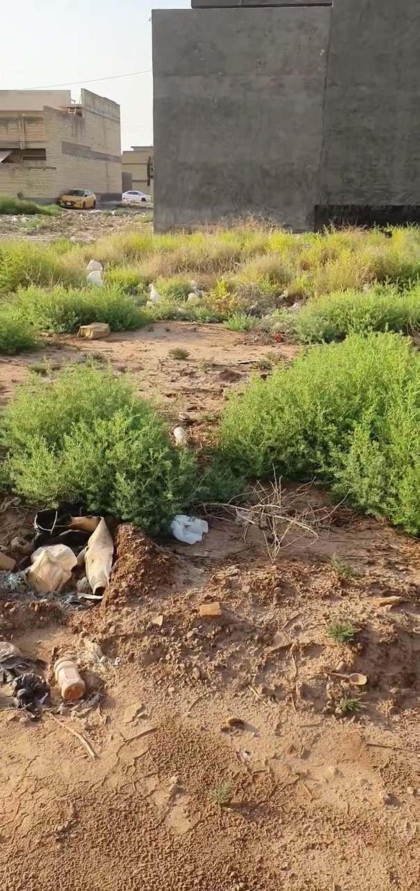 للبيع قطعة أرض في الثعالبة – بغداد
📍 المساحة: 100 م²
📍 المربع: 8000
📍 رقم القطعة: 8114
📜 طابو صرف وباسمي
للاستفسار والتواصل عبر واتساب:
📱 ***********
