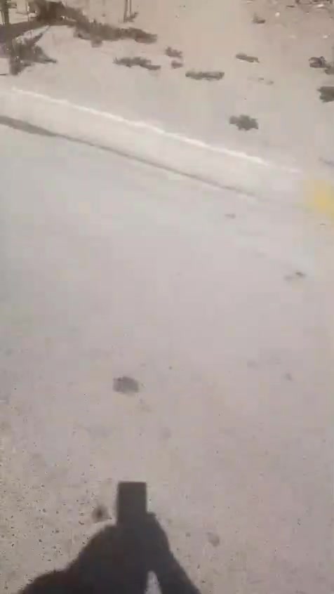 الاستفسار ***********
