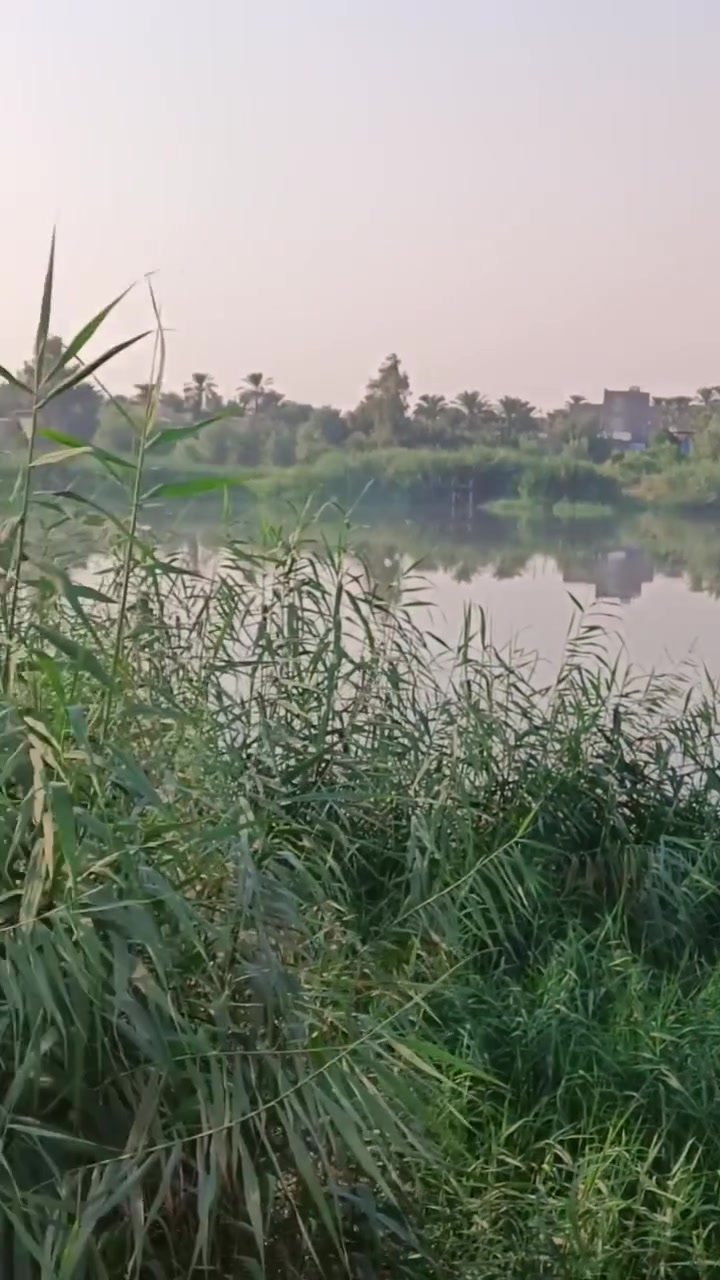 الصويرة جوميسة الغربية • شاطئية • ٥٥٠٠م