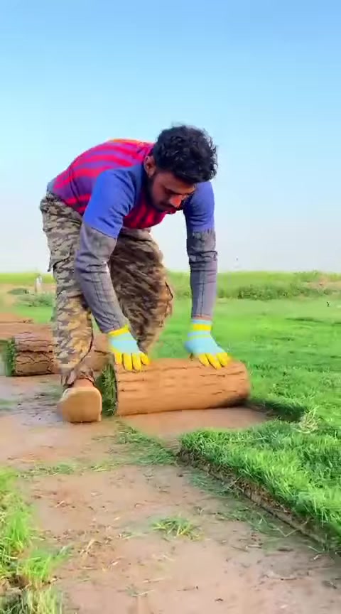 مزرعة التاج للثيل الطبيعي ديالى
 افضل نواع الثيل الطبيعي عالي جوده يتحمل كافه ظروف البيئية #باسعار مناسبه
ثيل طبيعي وخضار ١٠٠%  💚
نوعية ممتازة ودرجه اولى ⁦1️⃣⁩
ودائم الخضره 

#مستعدون لتجهيز وفرش الحدائق 🏡ودوائر الدولة 🏡والمنازل 🏡🏡
وتجهيز الملاعب 🏟️والمتزهات وبانسب الاسعار مع ضمان الجودة العالية في العمل 👷👷

مع خدمة التوصيل مجاني خلال 24ساعه 🚛
#ثيل هندي #ثيل _عراقي #ثيل فرنسي #ثيل _ايطالي (سعر متر حسب الكميه ومحافظة)

اسعارنا الانسب وتوصيلنا الاسرع  لكافة محافظات العراق
لمعرفة المزيد راسل الصفحه او اتصل على
*********** 📲
*********** 📱
