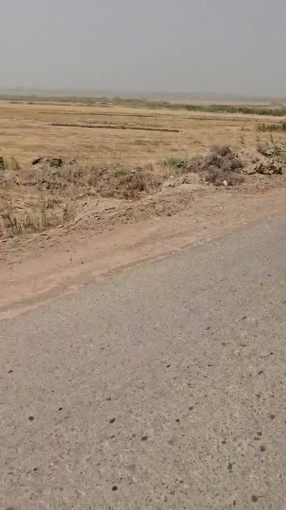 ارض زراعي طابو زراعي صرف مداور ٢يوم ٦دونم عل سياحي شارع مستوصف ٥٠٠متر عن شارع عام متوفرقم كافة خدمات سعر الدونم ٣٣مليون معه المجال ***********وتساب اتصال عنواني الكوفه شارع سياحي قرب سيطرة معمل سمنت كوفه جهة سياحي
