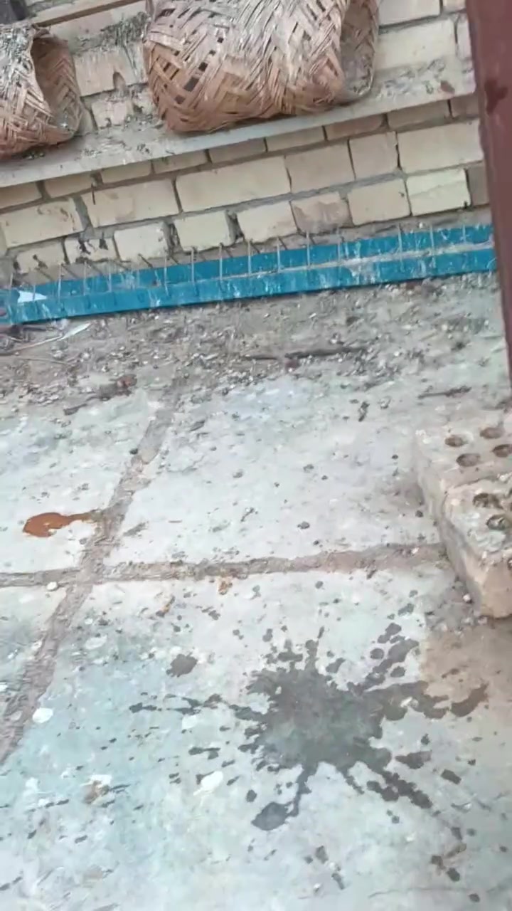 سبع البور • ٢ ديوجه • دجاجة