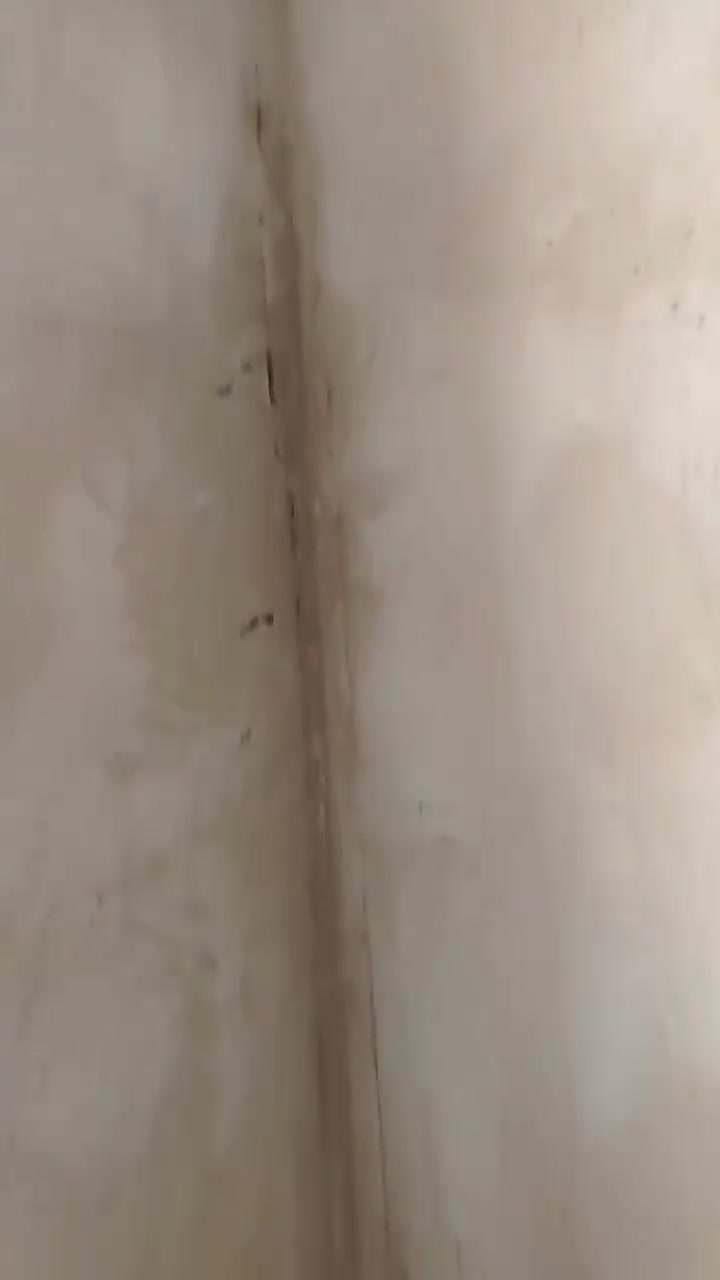 السلام عليكم كادر خلفات تشميع وجص وبورك شغل درجة اولا عل فحص شغل كلة مصاطر وكبان المتر 5
خمسة 
تشميع وجص وبورك المتر( بستة ونص) كذالك شغل عل فحص كلة كبان ومصاطر☝️
وحنة شعارنة منحمد بنفسنة نتة شوف بعينك وتحكم معجبك الشغل دينار مناخذ
وهدية لبو البيت تنضيف علينة
واني خادم ولماعدة نشغلة بلاش
نشغل فقط (بغداد) 
***********

السلام عليكم كادر خلفات تشميع وجص وبورك شغل درجة اولا عل فحص شغل كلة مصاطر وكبان المتر 5
