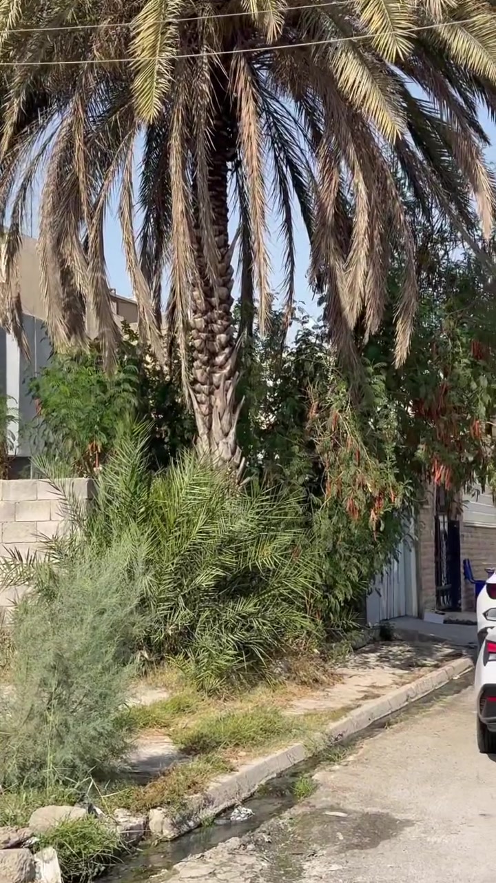 بسم الله والصلاة والسلام على سيدنا محمد
دار للبيع🏠🏠🏠🏠دار للبيع
📍موقع الدار حي العربي موقع  مميز وقريب على الشارع العام 
ملاحظة الدار ركن ………
مساحة الدار 95 متر واقع حال 200 متر 
واجهه الدار 17 متر 
للاستفسار اكثر التواصل على الارقام 
📞***********📞***********
