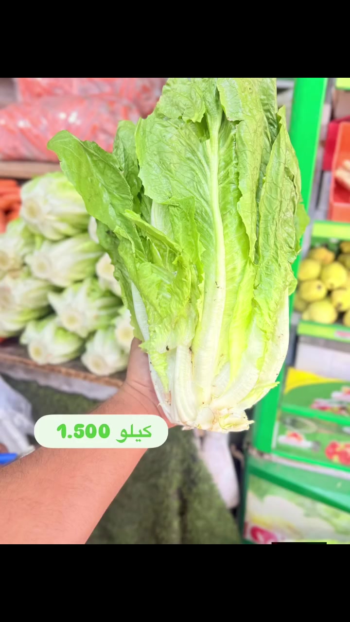 دلفري طويريج • مواد غذائية • أدوية