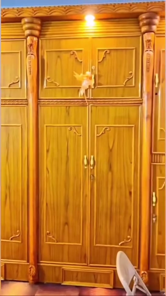 السلام عليكم
غرفه اخشاب عراقيه مستعمله قليل كنتور 6باب وملحق 2+زاويه وميز مرايه 

📞 للتواصل والاستفسار***********
