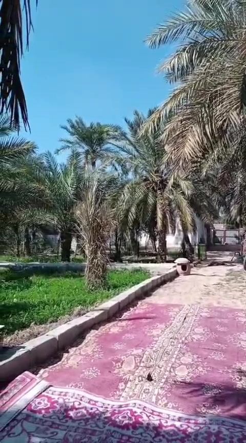 بستان • نص دونم • البصرة ابو الخصيب