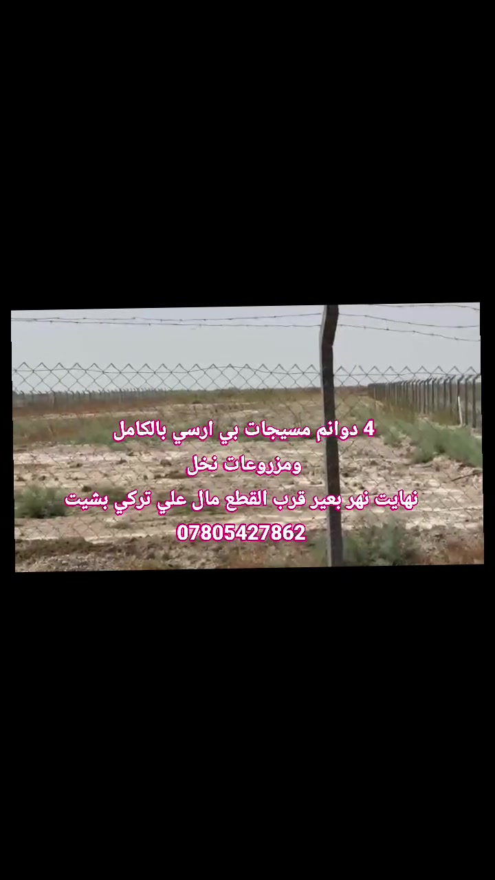نهاية نهر بعير • ٤ دوانم • مزروعة نخل
