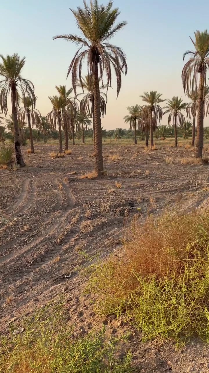 أرض زراعيه في منطقة الرغيلة على التبليط مباشرتاً تبعد عن الشارع العام حله كربلاء 1 كيلو متر مساحتها 15 دونم مسيجه وجاهزه بالكامل

للأستفسار الإتصال على : ***********-‭ ***********

