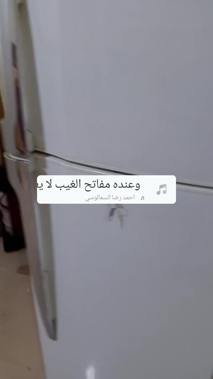 توشيبه • تالندي • ثلاجة