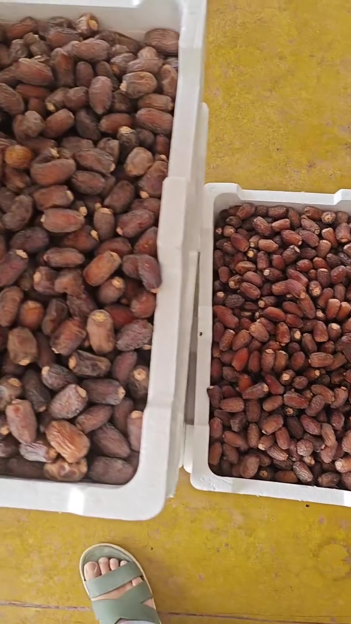 بريم ناشف • دراجه اوله • السماوه