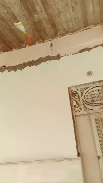 السلام عليكم صباغ متفرغ شغلي صبغ ورق جدران بديل الرخام بغداد مراسله عل خاص ***********
