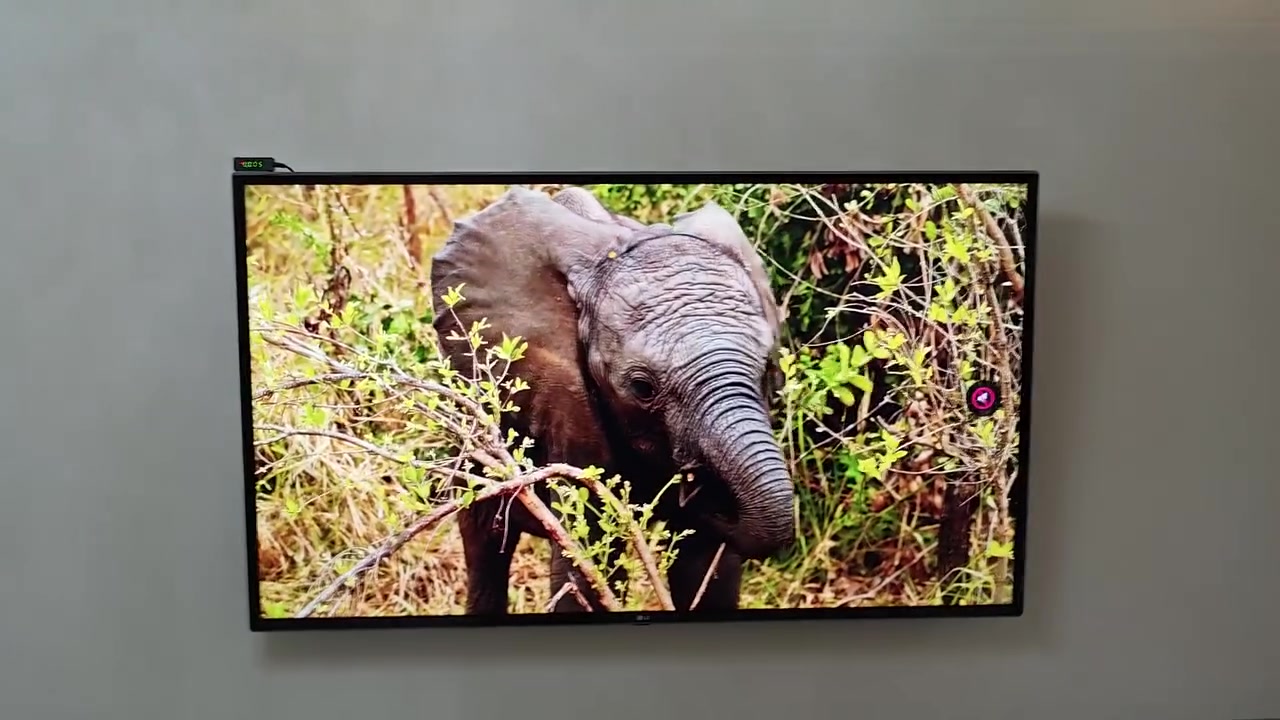 LG • ٥٥ انش • استعمال قليل